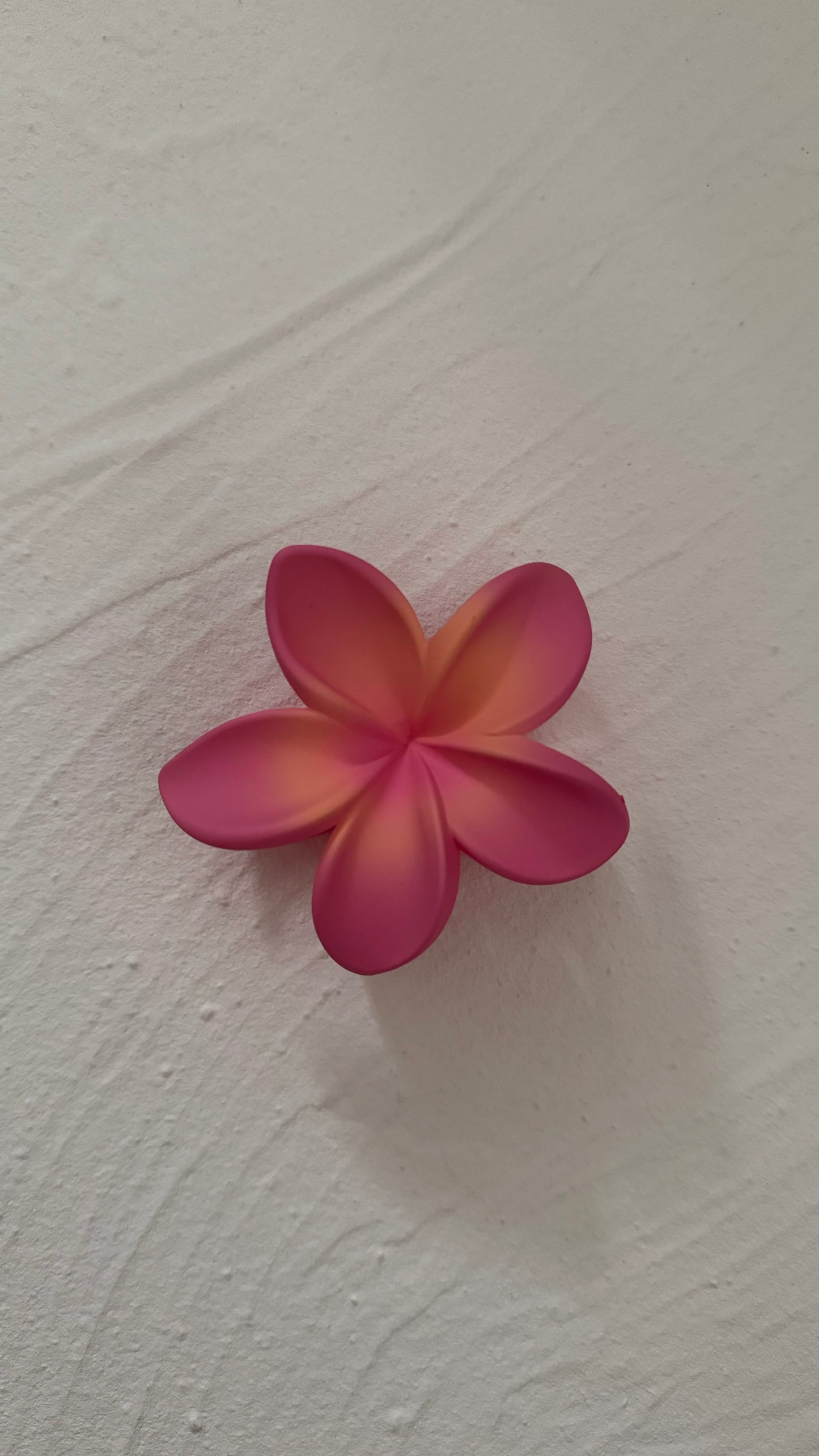 Frangipani Clip Flat Honeysuckle