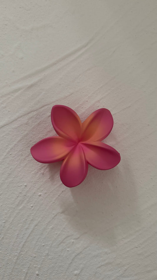 Frangipani Clip Flat Honeysuckle
