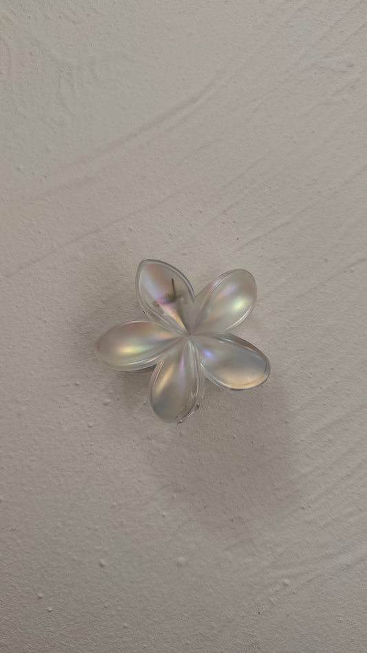 Frangipani Clip Frosted Iridescent