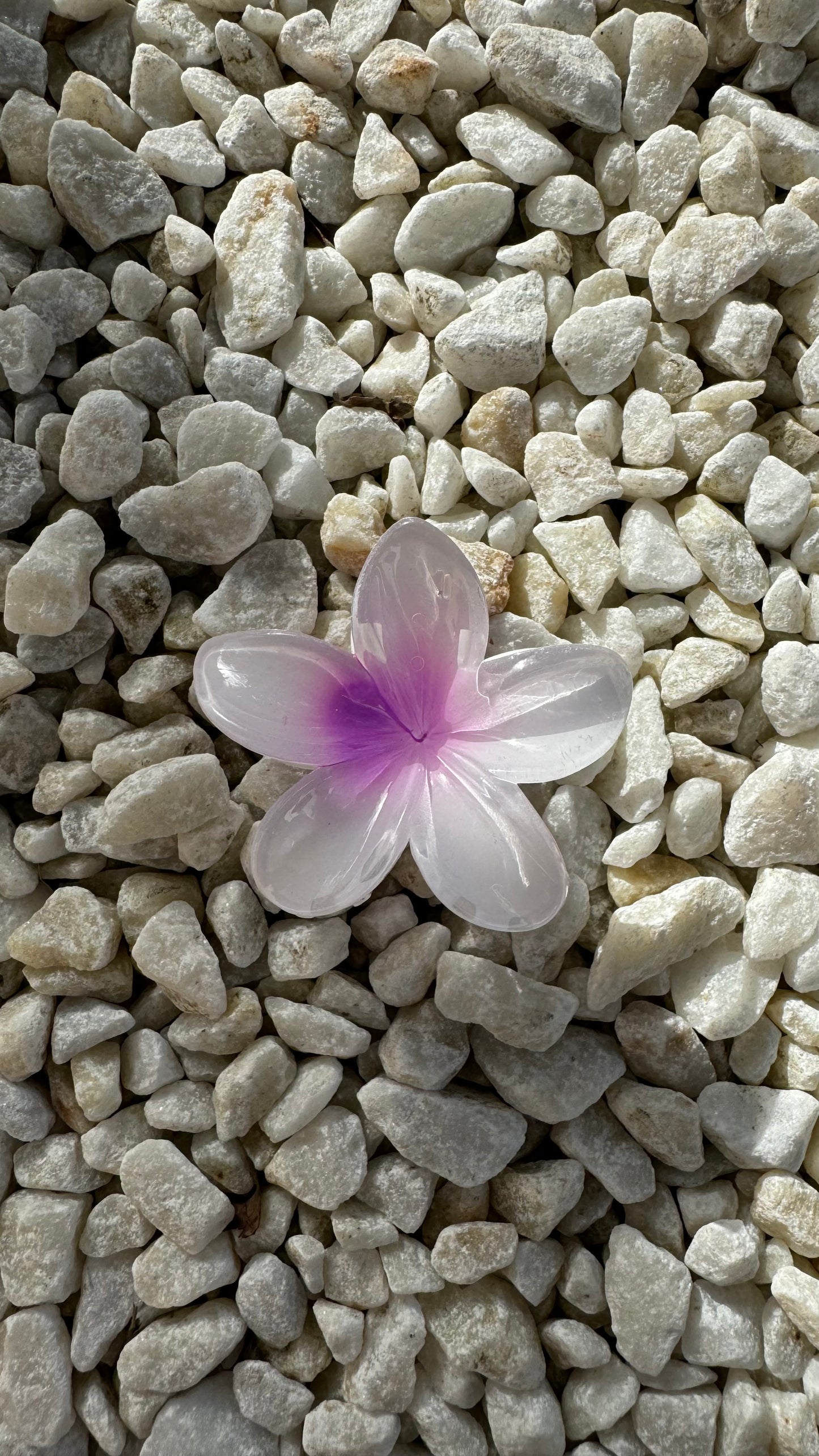Frangipani Clip Purple White