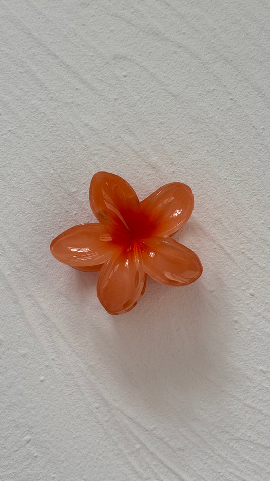 Frangipani Clip Tangerine