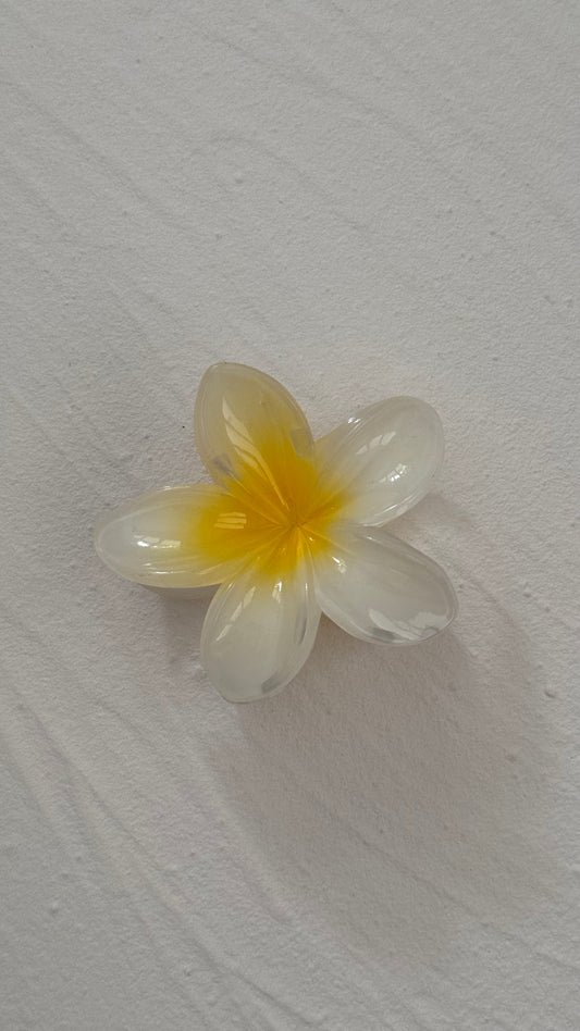 Frangipani Clip White/Yellow