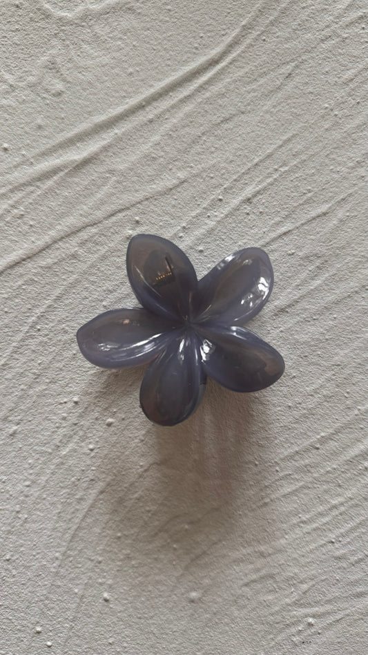 Frangipani Clip Jelly Solid Grey