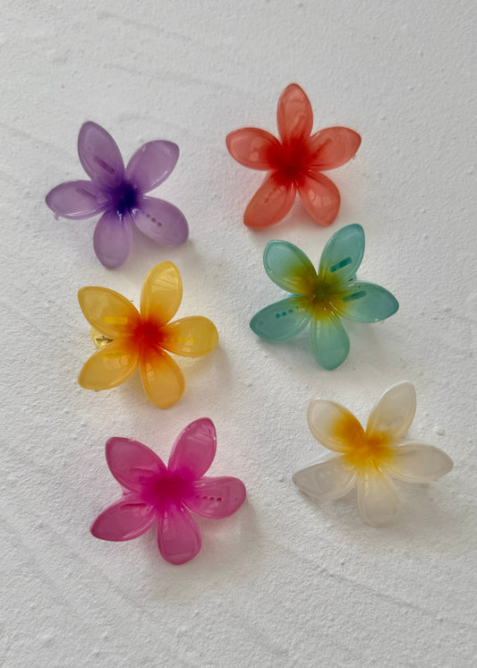Mini Frangipani Flower Clips