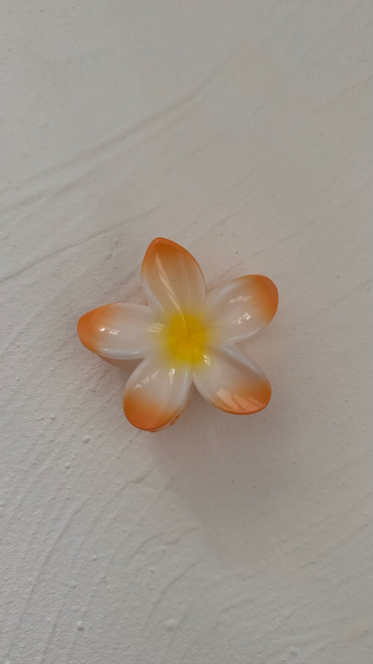 Frangipani Clip Multi Pale Orange