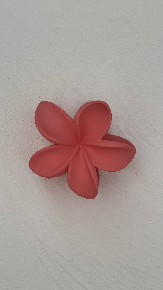 Frangipani Clip Coral