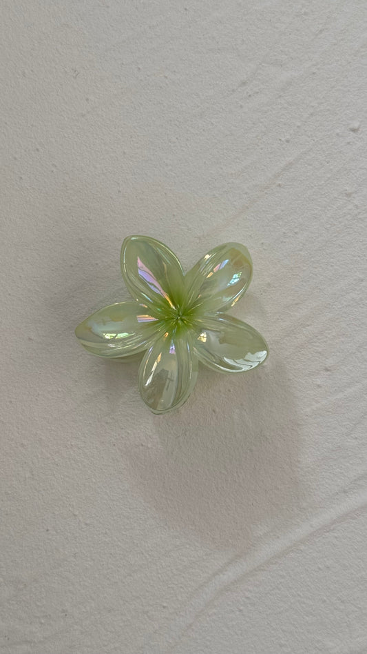 Frangipani Clip Gleaming Green - Medium
