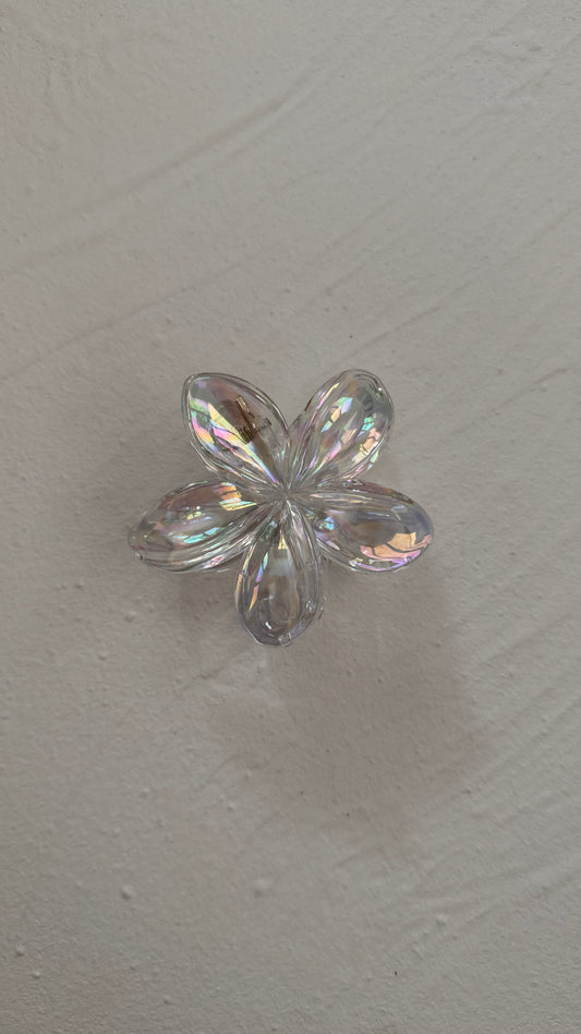 Frangipani Clip Clear Iridescent