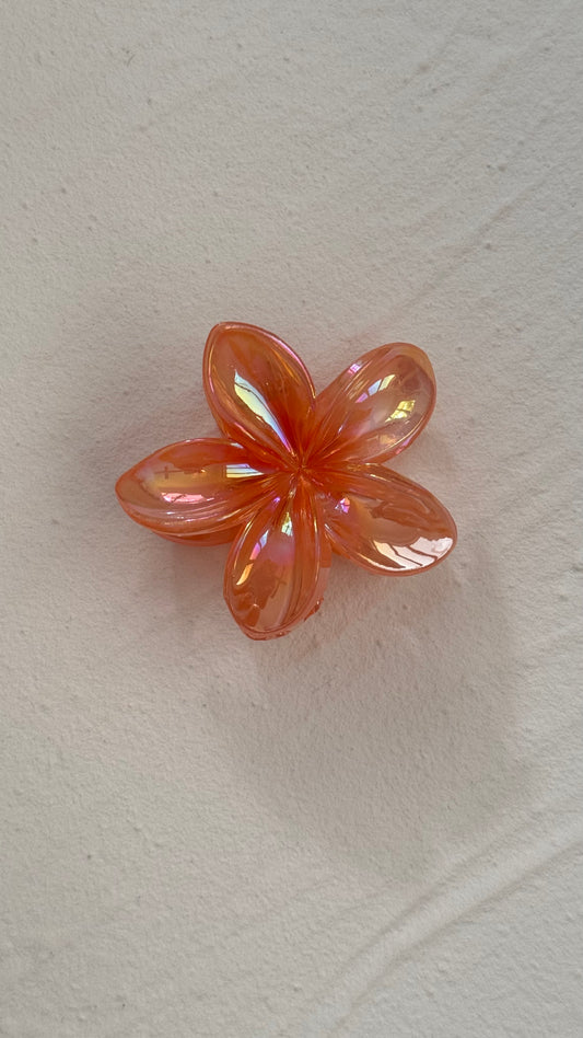 Frangipani Clip Gleaming Orange -Medium