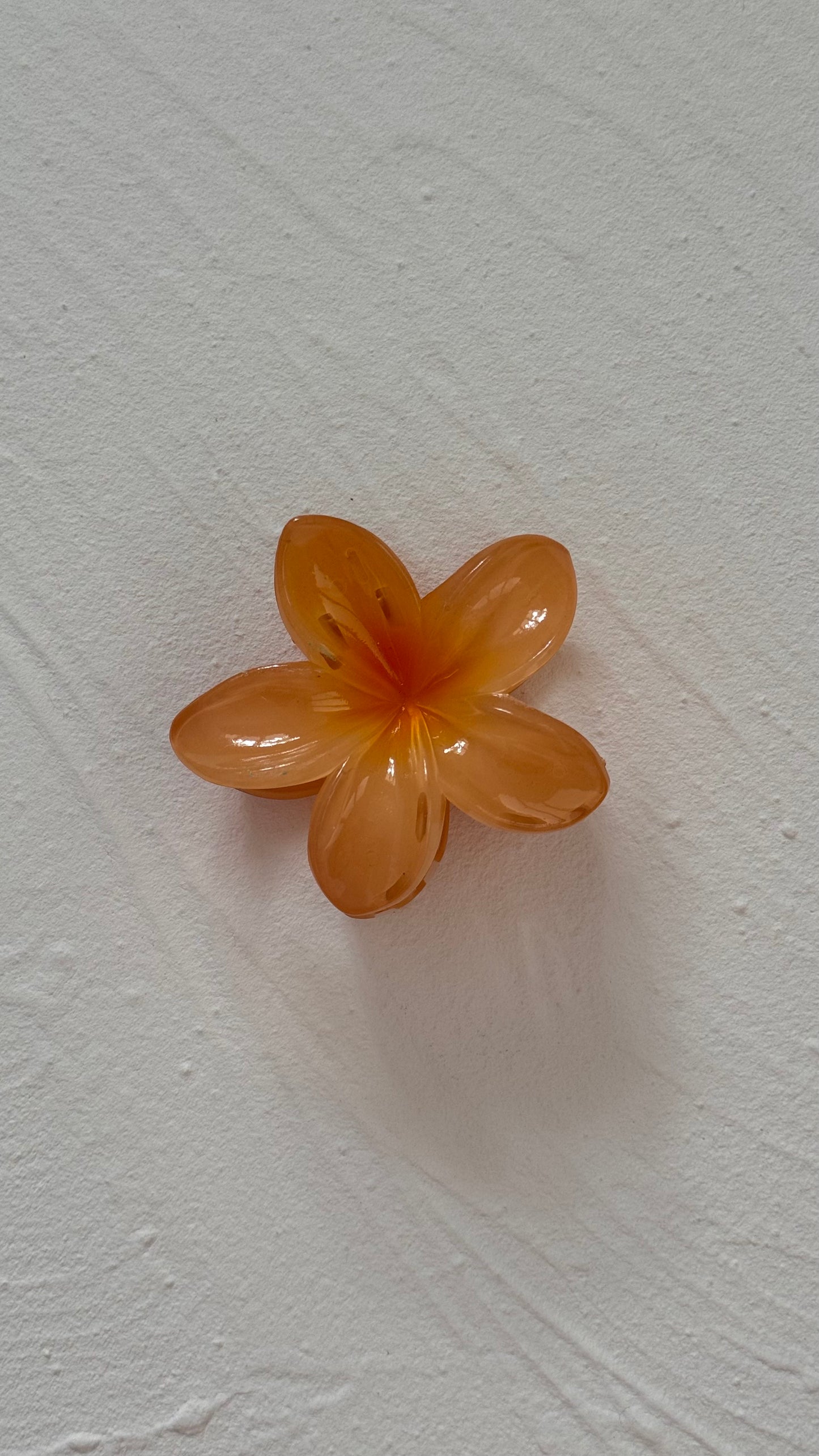 Frangipani Clip Toffee