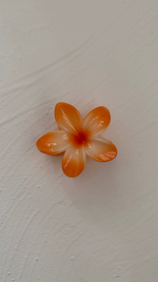 Frangipani Clip Multi Full Orange