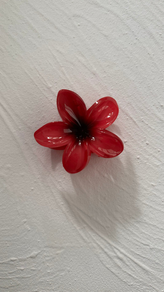 Frangipani Clip Faded Cherry