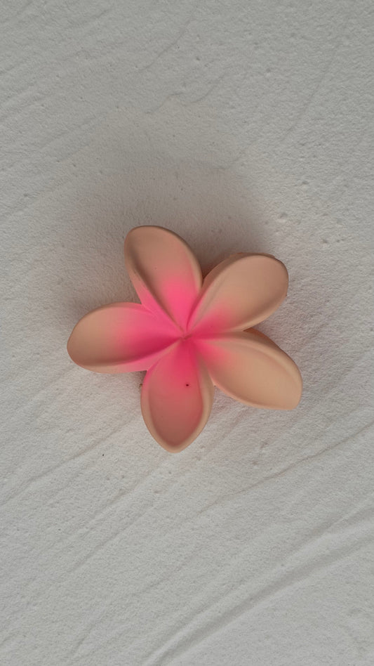 Frangipani Clip Rose Petal Sundae