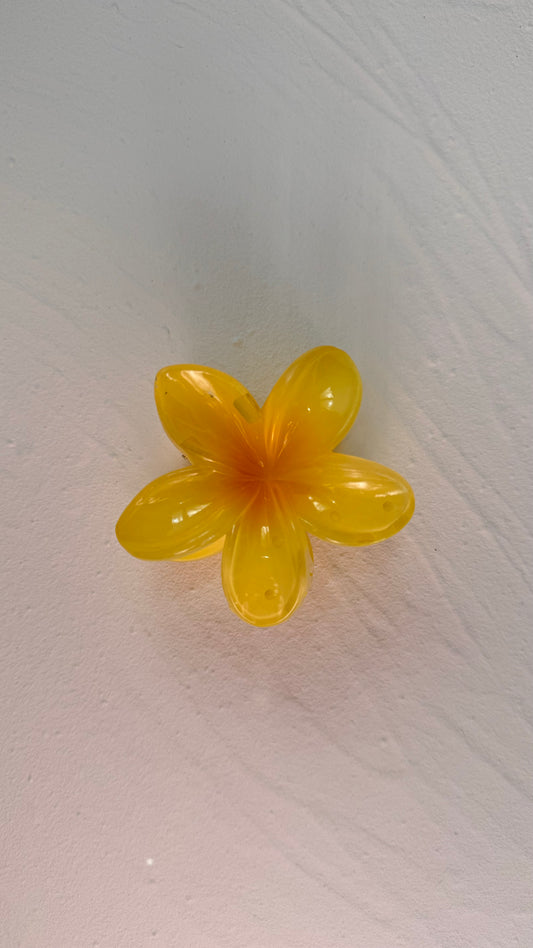 Frangipani Clip Bright Yellow