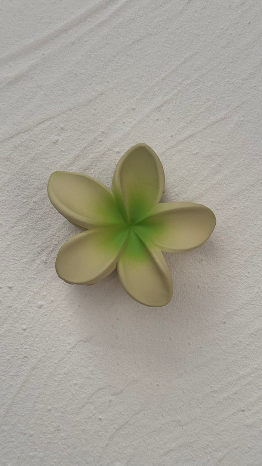 Frangipani Clip Pistachio Sundae