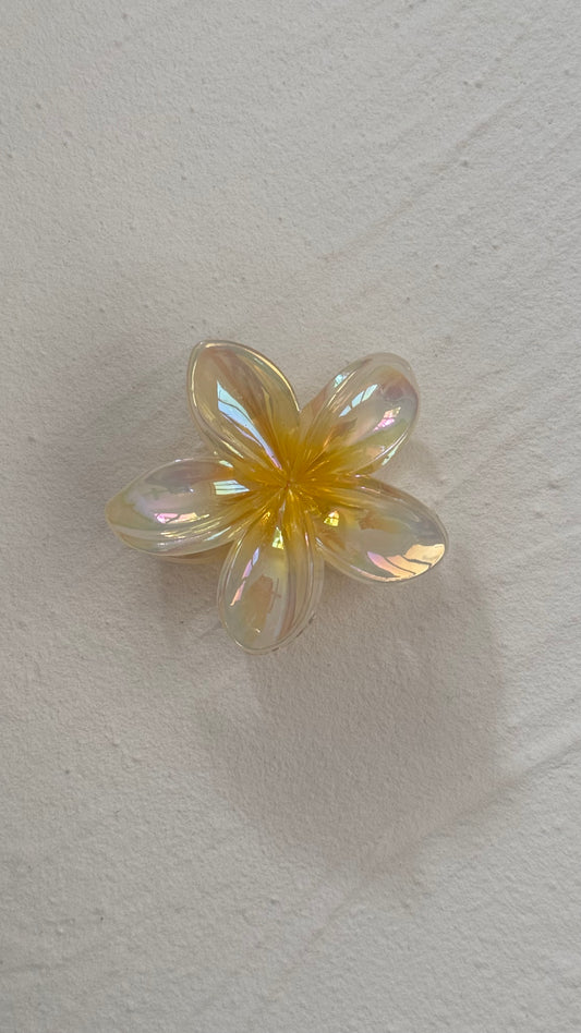 Frangipani Clip Gleaming Yellow - Medium