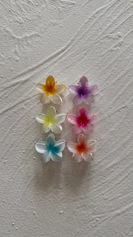 Mini Frangipani Clip Original