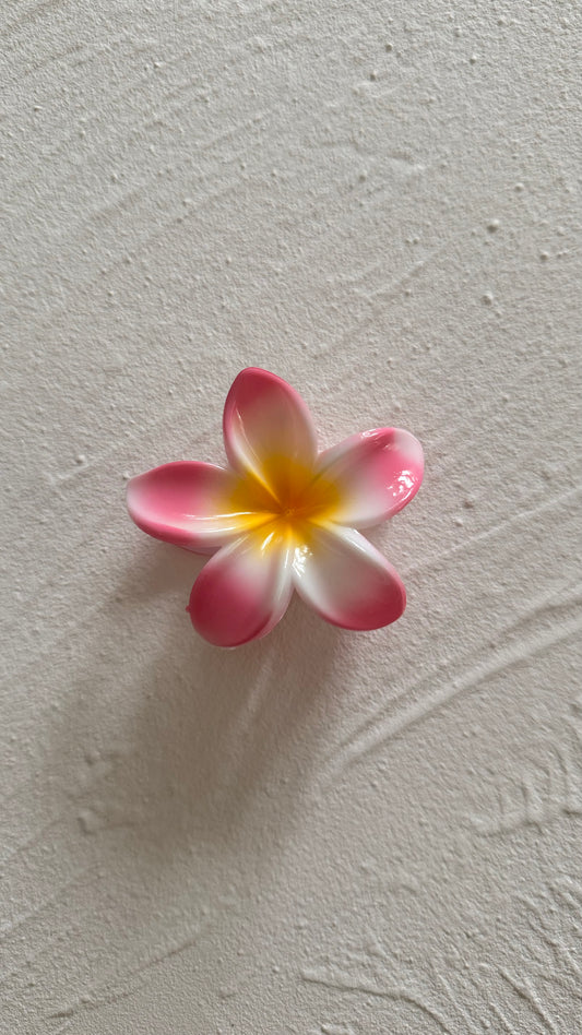 Frangipani Clip Multi Pink