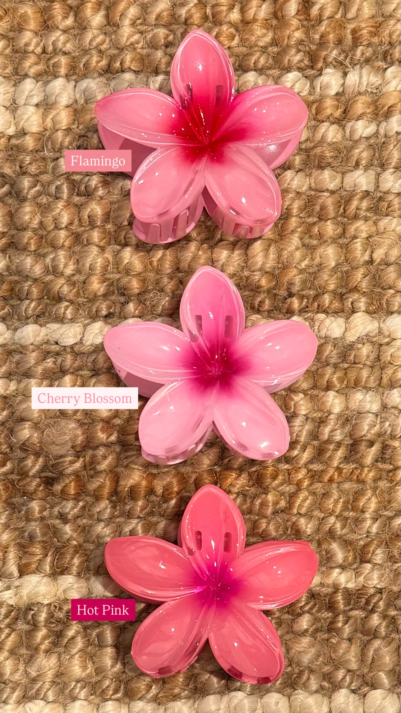 Frangipani Clip Cherry Blossom