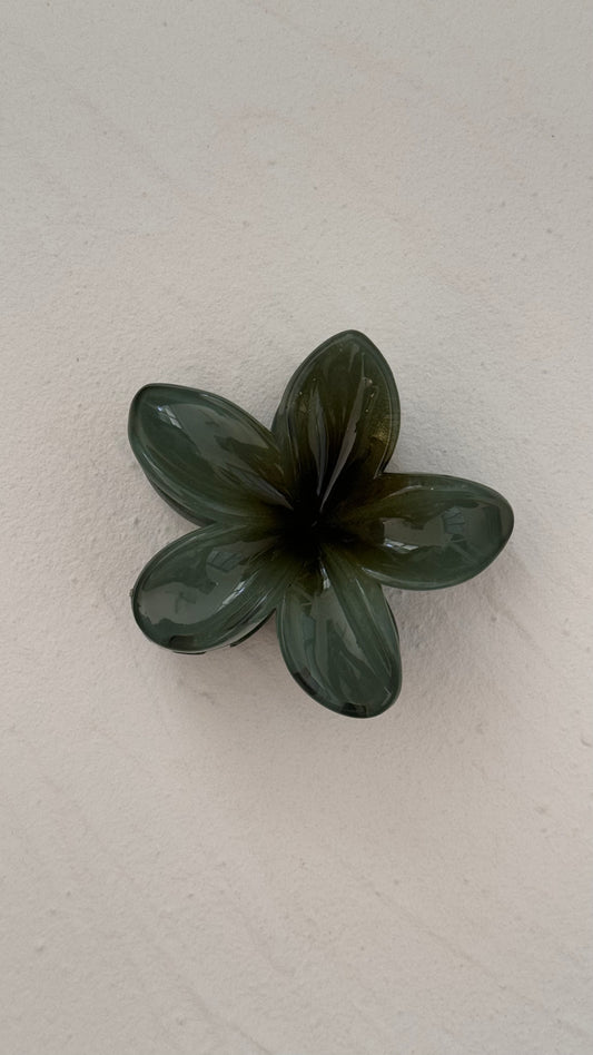 Frangipani Clip Mangrove