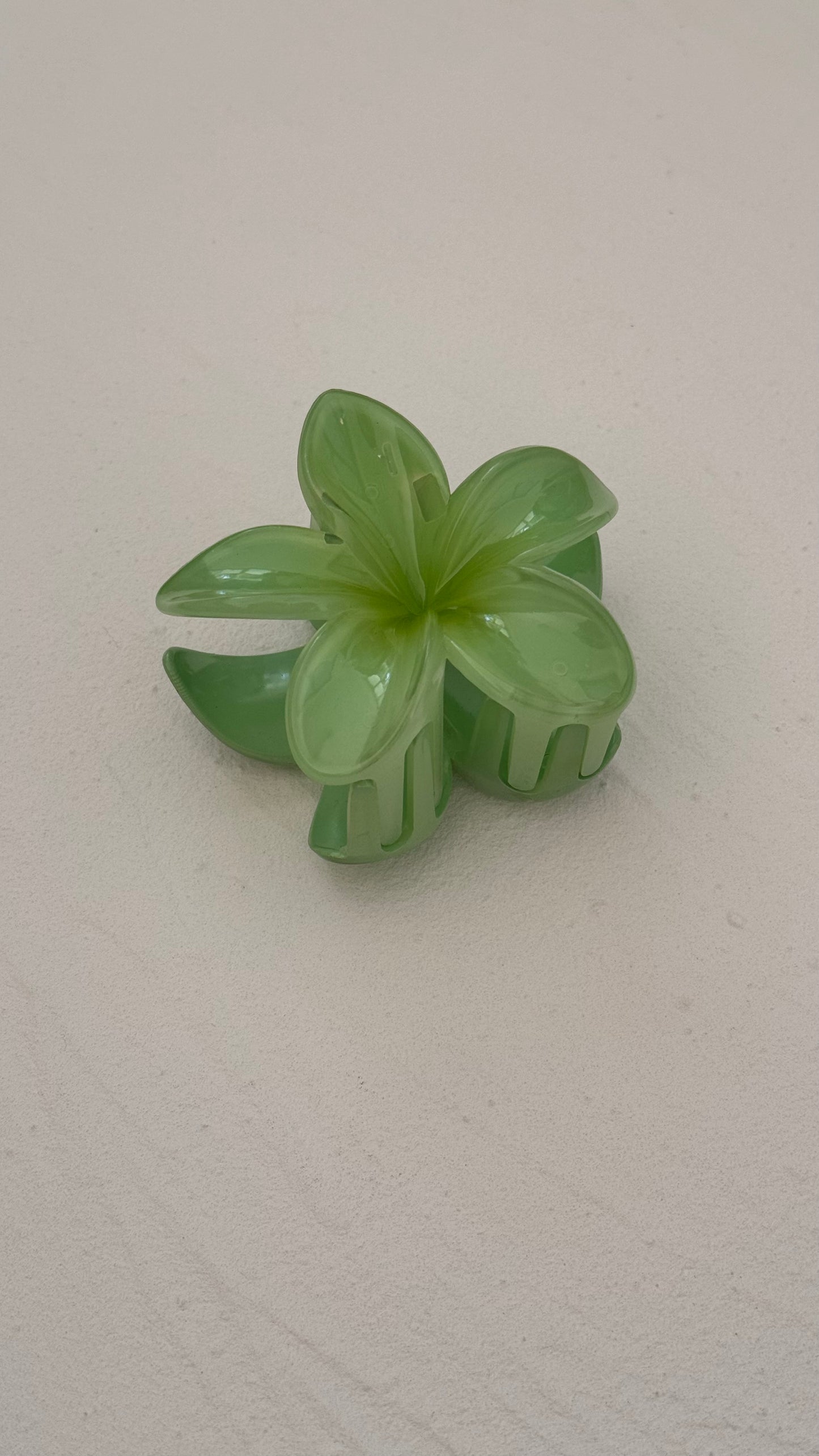 Frangipani Clip Matcha Latte