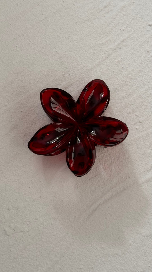 Frangipani Clip Tortoiseshell Red