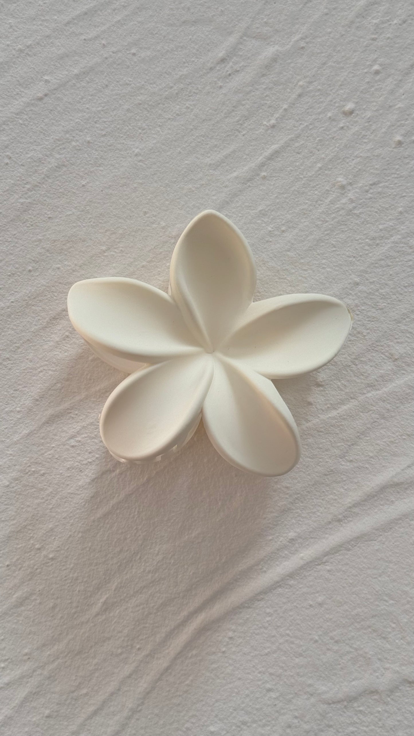 Frangipani Clip Pastel Dove