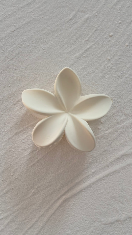 Frangipani Clip Pastel Dove