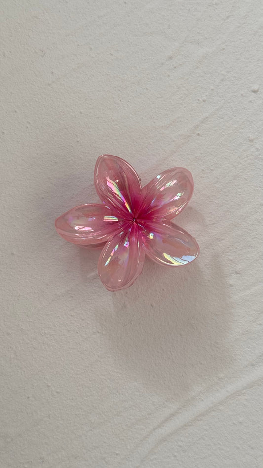Frangipani Clip Gleaming Pink - Medium