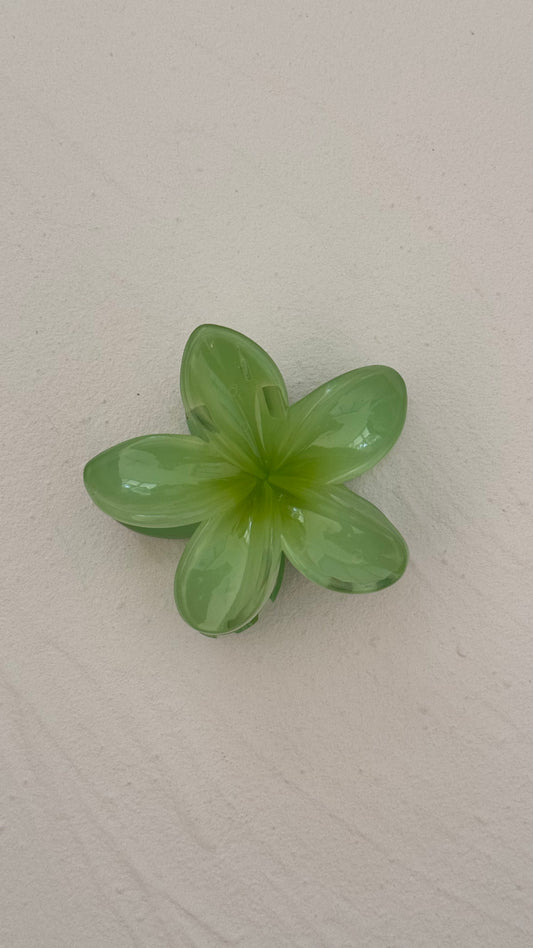 Frangipani Clip Matcha Latte