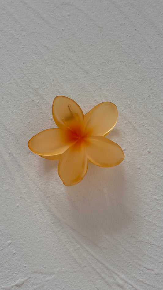 Frangipani Clip Translucent Yellow