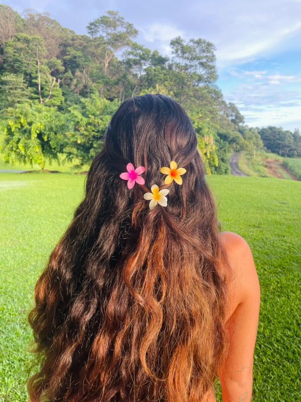 Mini Frangipani Flower Clips
