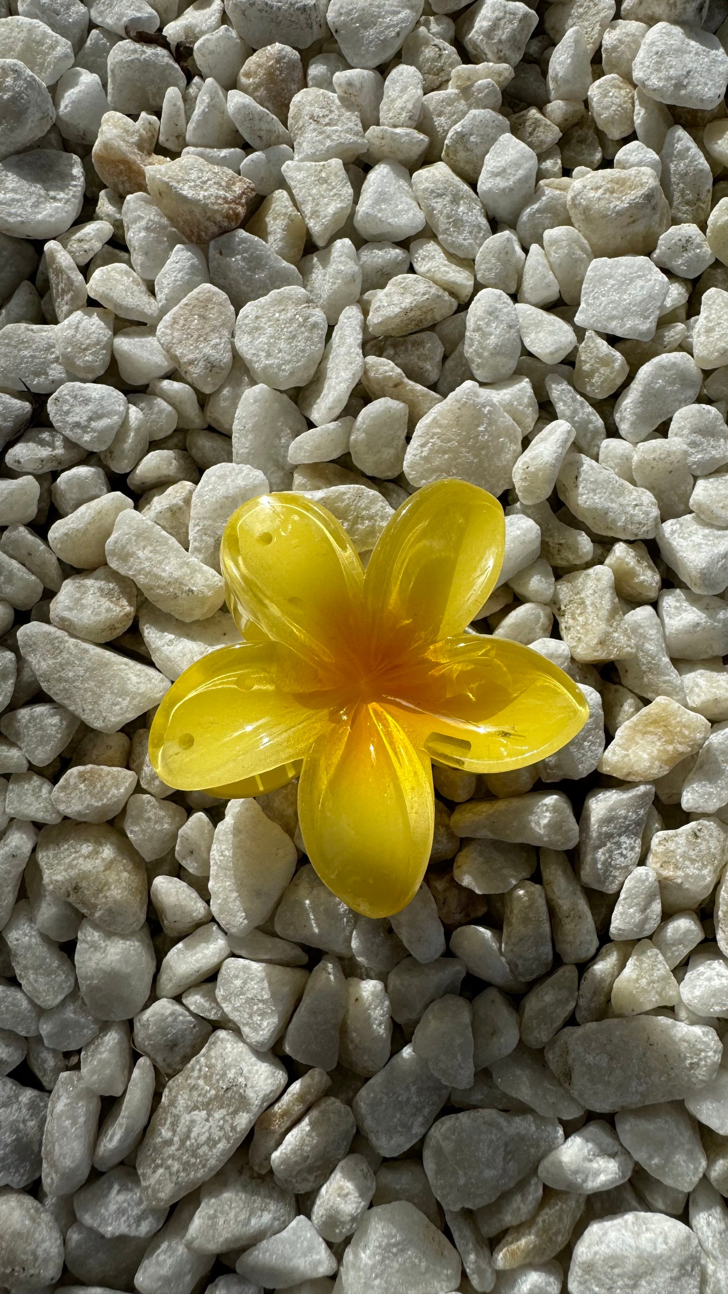 Frangipani Clip Bright Yellow
