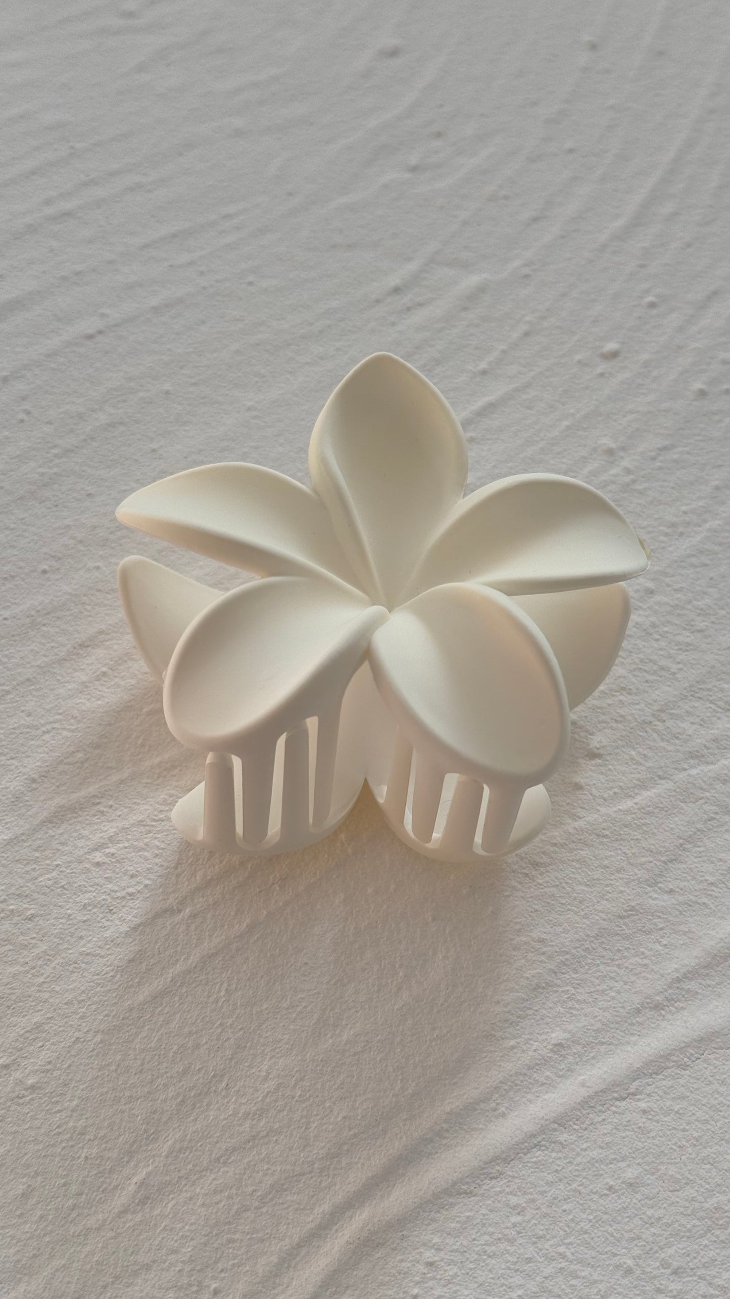 Frangipani Clip Pastel Dove