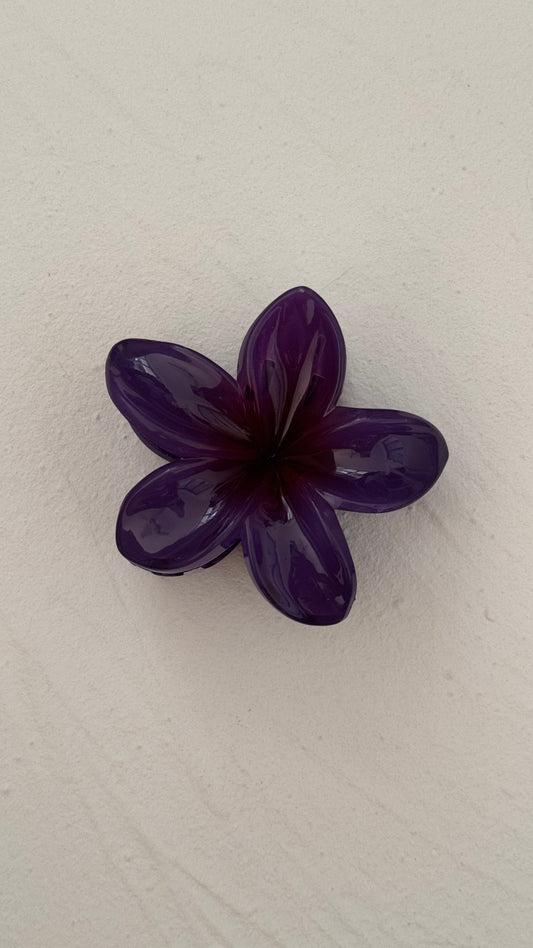 Frangipani Clip Royal Purple
