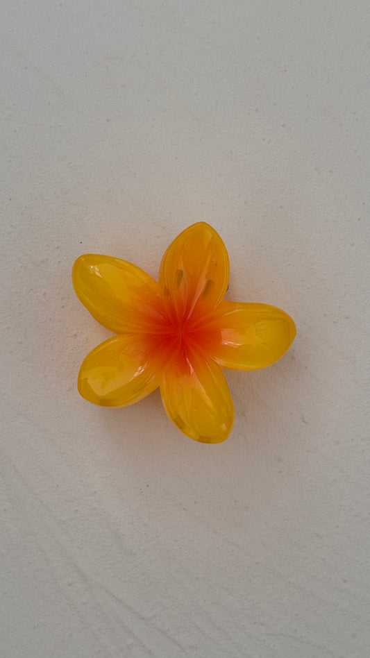 Frangipani Clip Pineapple