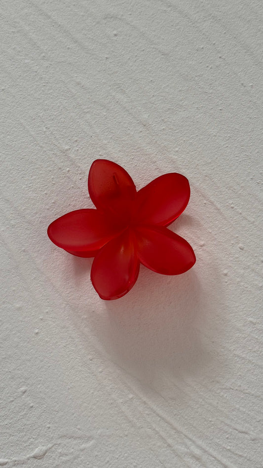 Frangipani Clip Translucent Red